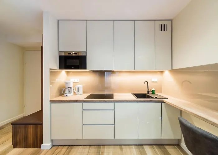 Deluxe Rakowicka 15 Wawelofts アパート