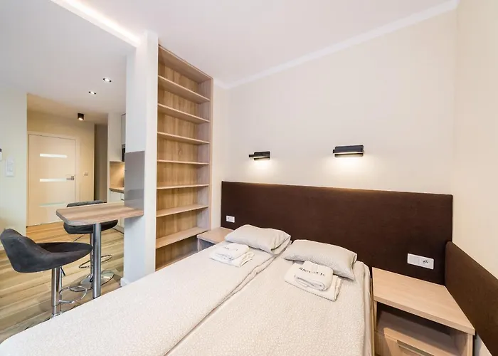 Deluxe Rakowicka 15 Wawelofts *