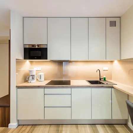 Deluxe Rakowicka 15 Wawelofts Lägenhet