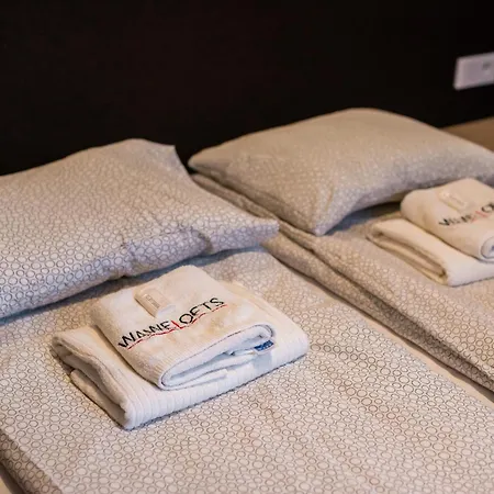 Deluxe Rakowicka 15 Wawelofts Lägenhet Kraków