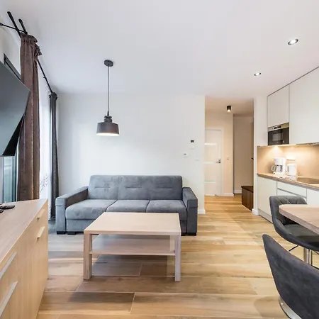 Apartman Deluxe Rakowicka 15 Wawelofts *