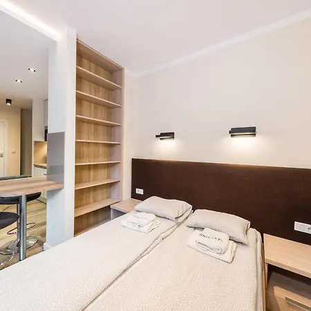 Deluxe Rakowicka 15 Wawelofts *